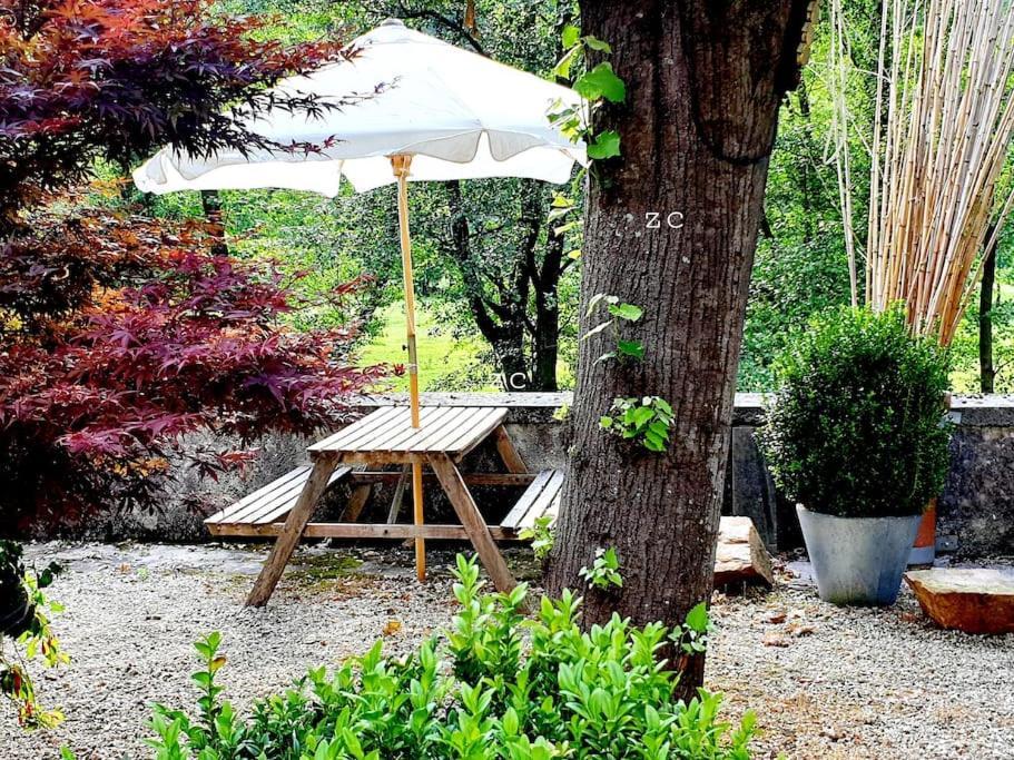 Zentral Club Neutron-Jacuzzi Lägenhet Belmonte De Miranda Exteriör bild